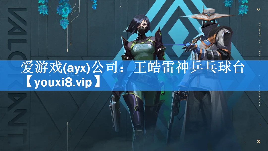 爱游戏(ayx)公司：王皓雷神乒乓球台