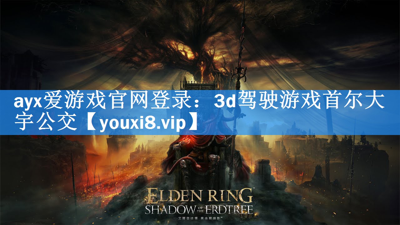 3d驾驶游戏首尔大宇公交