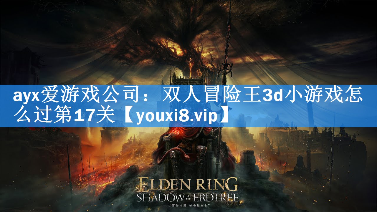 双人冒险王3d小游戏怎么过第17关